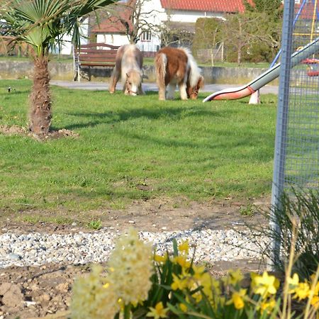 Hotel - Restaurant Hirschen - Werneths Landgasthof Beim Europa- Park Rust Rheinhausen Dış mekan fotoğraf