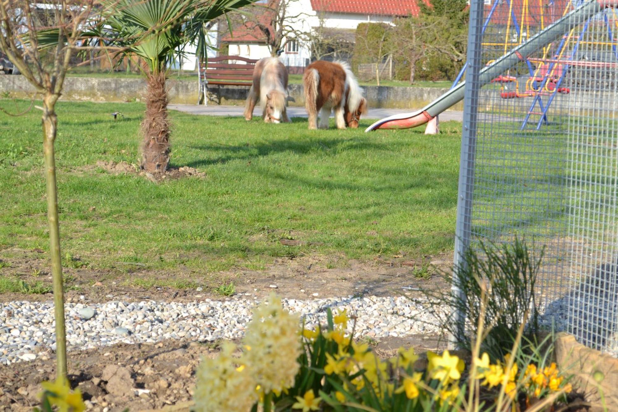 Hotel - Restaurant Hirschen - Werneths Landgasthof Beim Europa- Park Rust Rheinhausen Dış mekan fotoğraf